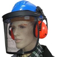 Bauhelm mit Gesichts- und Gehörschutznetz blau