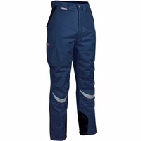 Cofra Thermo Arbeitshose mit Polsterung -47