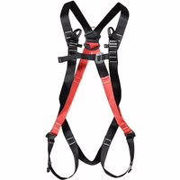 Cofra Auffanggurt bis 150 kg